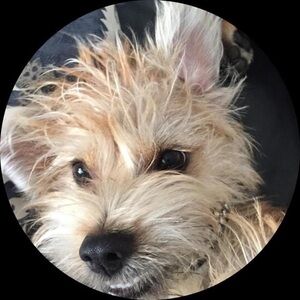 Meet your Posher, Risen